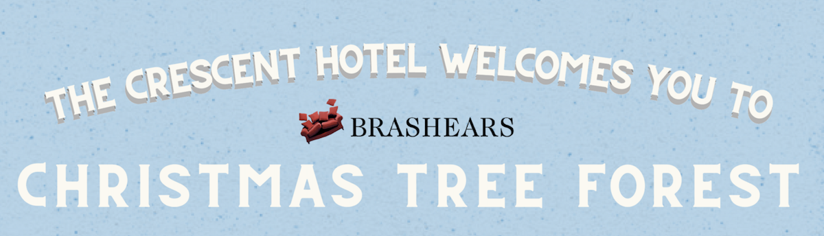 Christmas Tree Forest