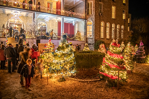 vote for your favorite tree